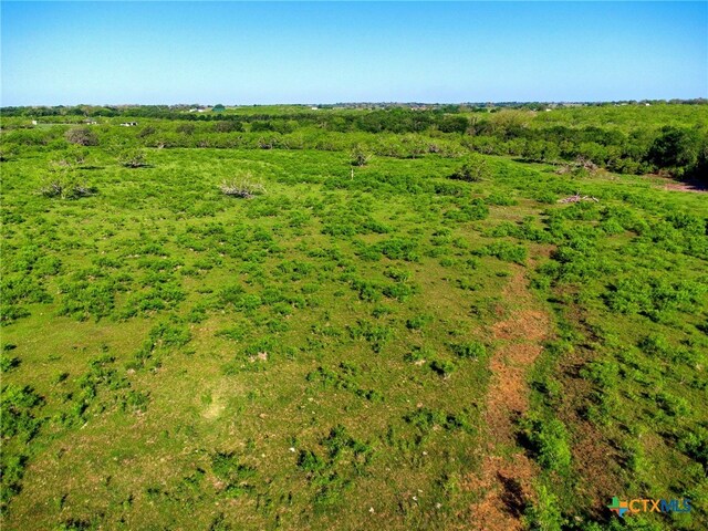 TBD County Road 447, Waelder, TX 78959 - photo 12