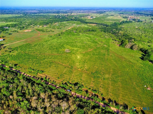 TBD County Road 447, Waelder, TX 78959 - photo 3