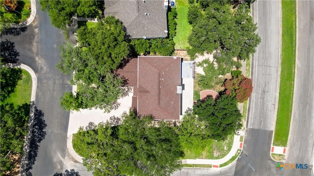 bird's eye view