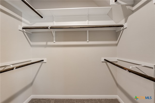 walk in closet with carpet flooring