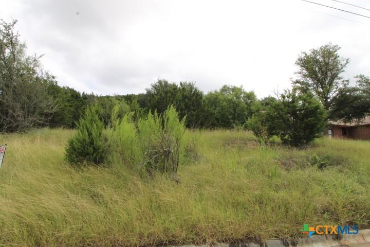 2305 Phyllis Dr, Copperas Cove, TX 76522
