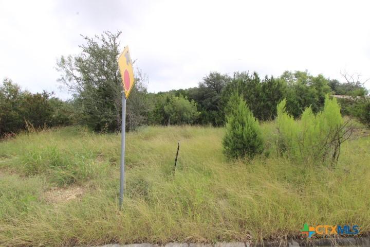 2305 Phyllis Dr, Copperas Cove, TX 76522