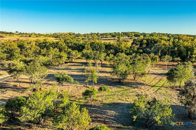 12695 Fm 2843, Salado, TX 76571 - photo 10