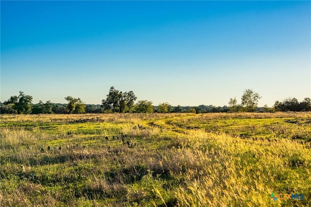 12695 Fm 2843, Salado, TX 76571 - photo 16
