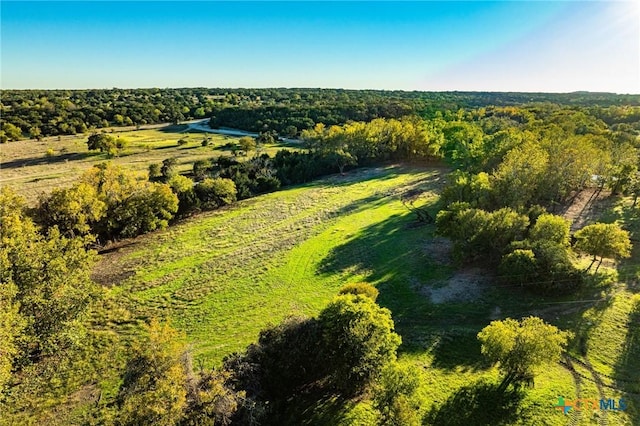 12695 Fm 2843, Salado, TX 76571 - photo 5
