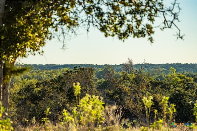 12695 Fm 2843, Salado, TX 76571 - photo 15