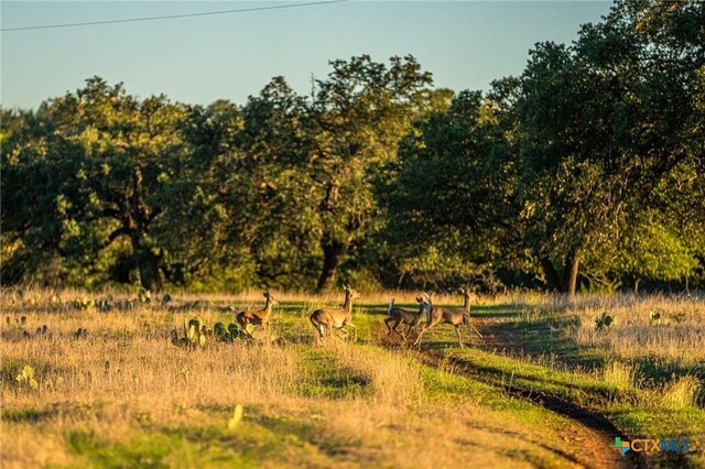 12695 Fm 2843, Salado, TX 76571 - photo 12
