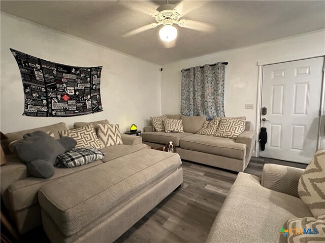 living room featuring ceiling fan and dark hardwood / wood-style flooring