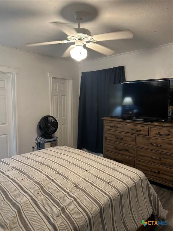 bedroom featuring ceiling fan