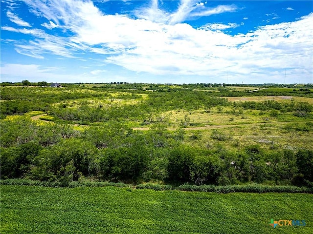 66.5AC Alexander Rd, Moody, TX 76557 - photo 22