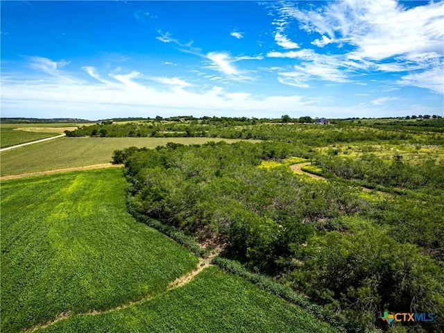 66.5AC Alexander Rd, Moody, TX 76557 - photo 23