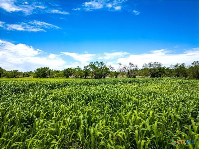 66.5AC Alexander Rd, Moody, TX 76557 - photo 29