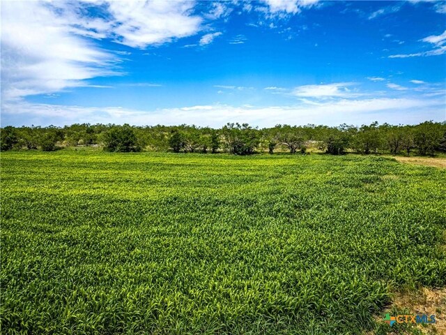 66.5AC Alexander Rd, Moody, TX 76557 - photo 28