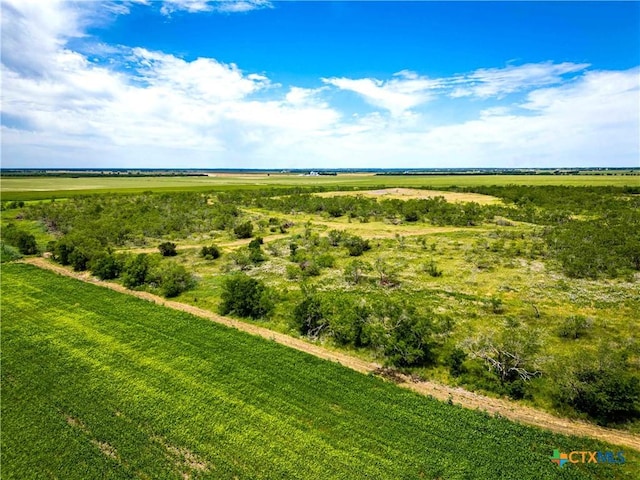 66.5AC Alexander Rd, Moody, TX 76557 - photo 27