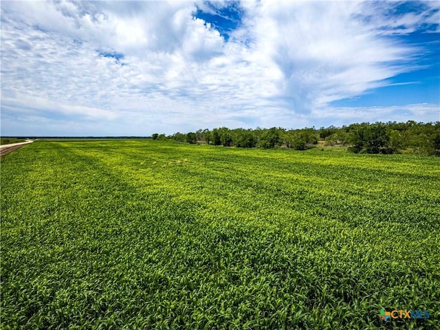 66.5AC Alexander Rd, Moody, TX 76557 - photo 24