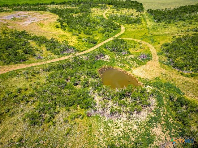 66.5AC Alexander Rd, Moody, TX 76557 - photo 16