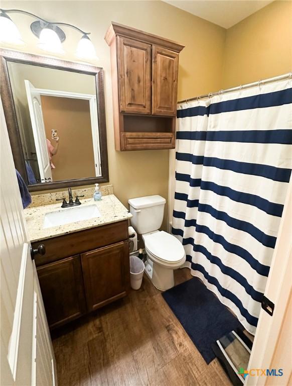 bathroom featuring vanity, hardwood / wood-style flooring, and toilet