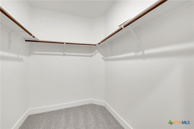 2318 Healy Dr, Temple, TX 76502 - spacious closet with carpet