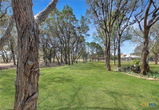 10510 Teich Loop, New Braunfels, TX 78132 - view of yard with fence