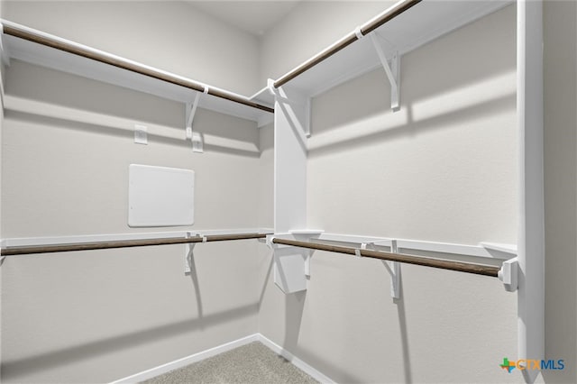 walk in closet with carpet