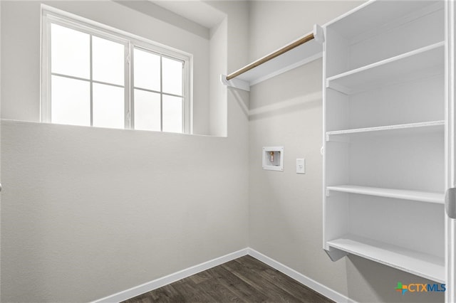 washroom with hookup for a washing machine and dark wood-type flooring