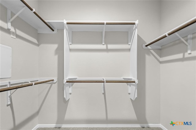 124 Linnet Ln, Maxwell, TX 78656 - view of walk in closet