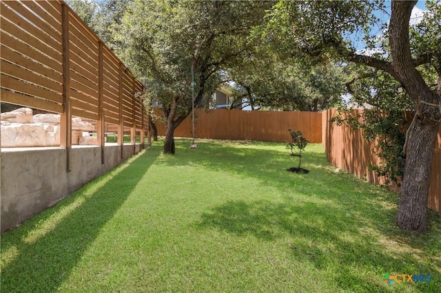 29121 Ismorada, San Antonio, TX 78260 - view of yard