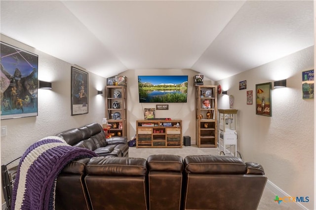 29121 Ismorada, San Antonio, TX 78260 - carpeted home theater room featuring a textured wall, lofted ceiling, and baseboards