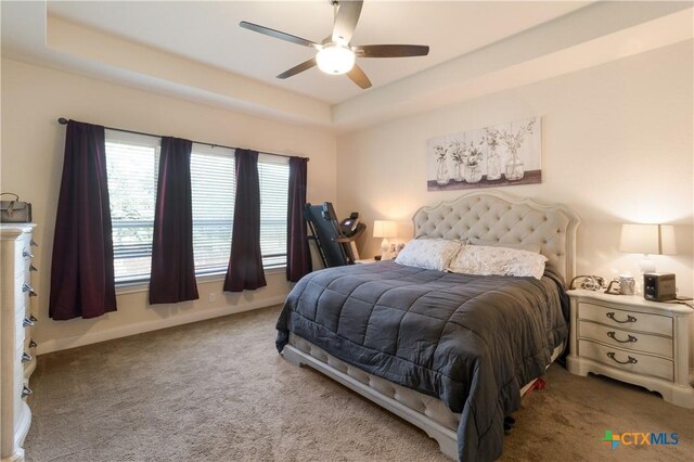 29121 Ismorada, San Antonio, TX 78260 - bedroom featuring carpet flooring, a raised ceiling, baseboards, and ceiling fan
