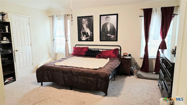 501 Mesquite Cir, Copperas Cove, TX 76522 - carpeted bedroom with multiple windows