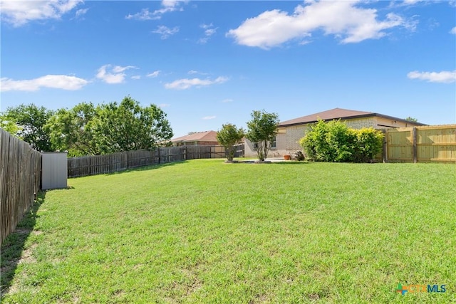 4409 Beach Ball Dr, Killeen, TX 76549 - view of yard