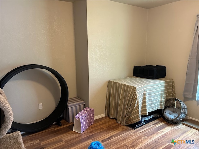 bedroom featuring wood-type flooring