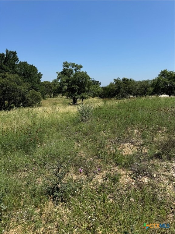 4602 Fm 1107, Stockdale TX, 78160 land for sale