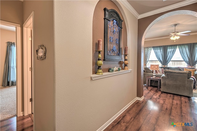 corridor with crown molding and dark wood-type flooring