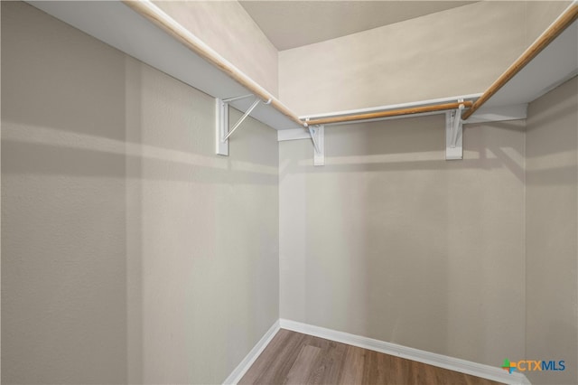 walk in closet with hardwood / wood-style floors