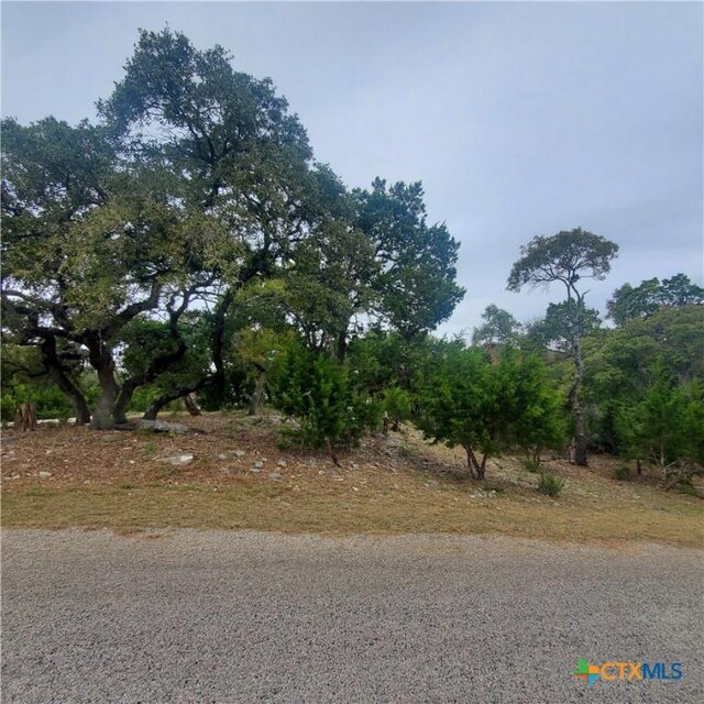 152 Mountainview Dr, Canyon Lake, TX 78133