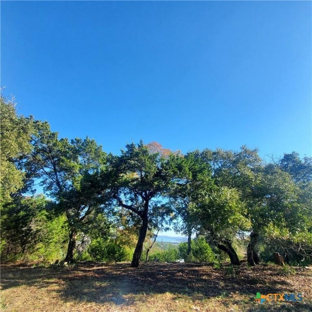 152 Mountainview Dr, Canyon Lake, TX 78133