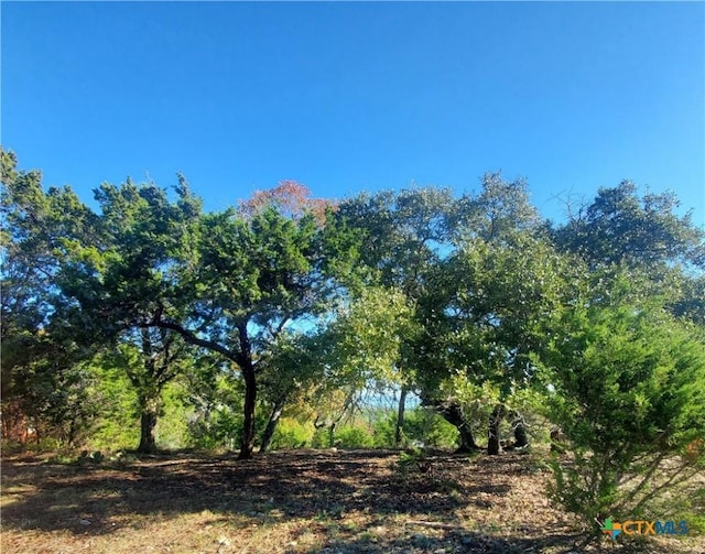 Listing photo 2 for 152 Mountainview Dr, Canyon Lake TX 78133