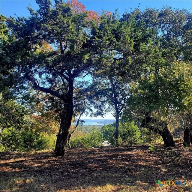 152 Mountainview Dr, Canyon Lake, TX 78133