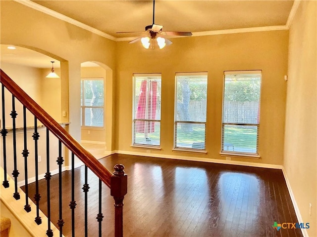 interior space featuring crown molding, a wealth of natural light, ceiling fan, and dark hardwood / wood-style flooring