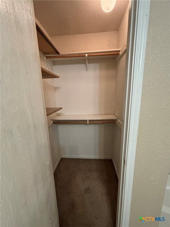 spacious closet with carpet