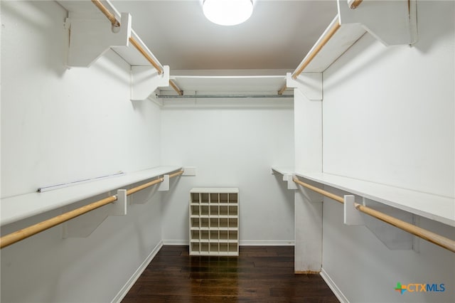 spacious closet featuring dark hardwood / wood-style flooring