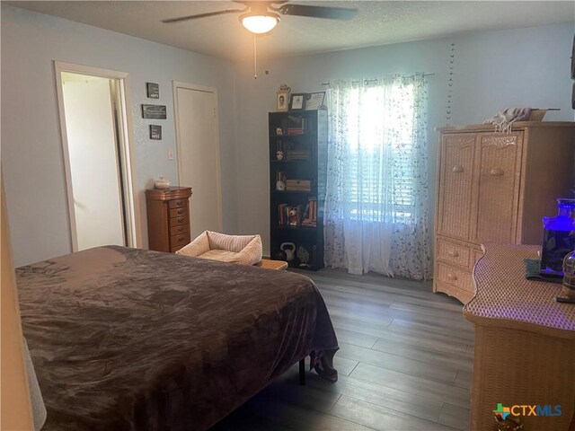 2411 Caprice Dr, Killeen, TX 76543 - photo 16