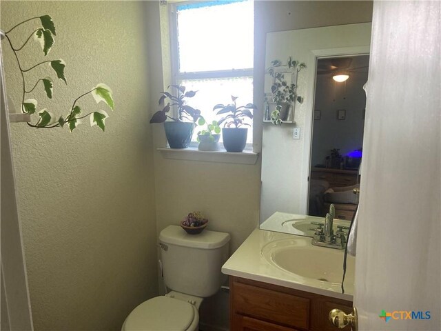 2411 Caprice Dr, Killeen, TX 76543 - photo 18