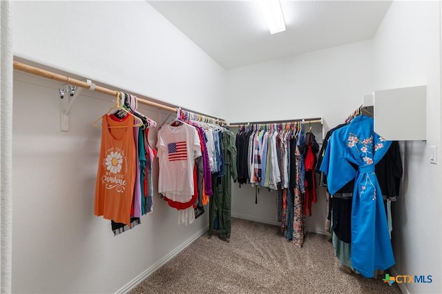 4216 Hannover Way, Round Rock, TX 78681 - photo 16