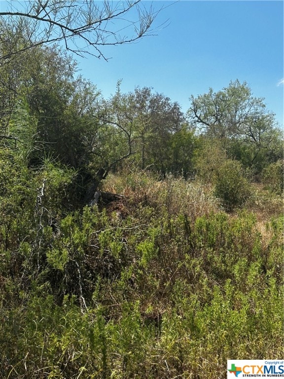 Listing photo 3 for 5958 County Road 405, Floresville TX 78114