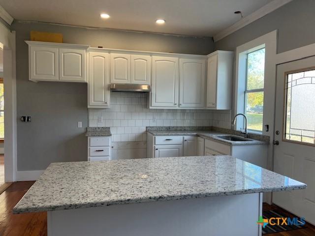 kitchen with light stone countertops, dark wood-type flooring, backsplash, white cabinetry, and sink