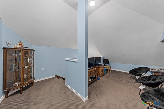 additional living space featuring vaulted ceiling and carpet floors