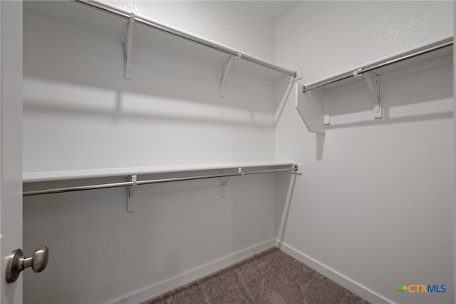 spacious closet with carpet flooring