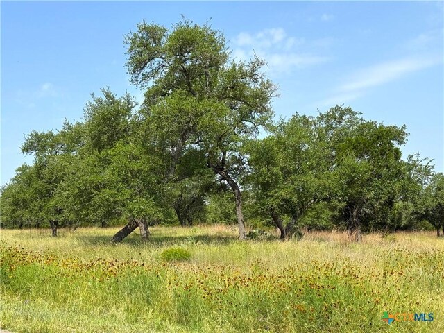 1633 Bella Vis, Canyon Lake, TX 78133